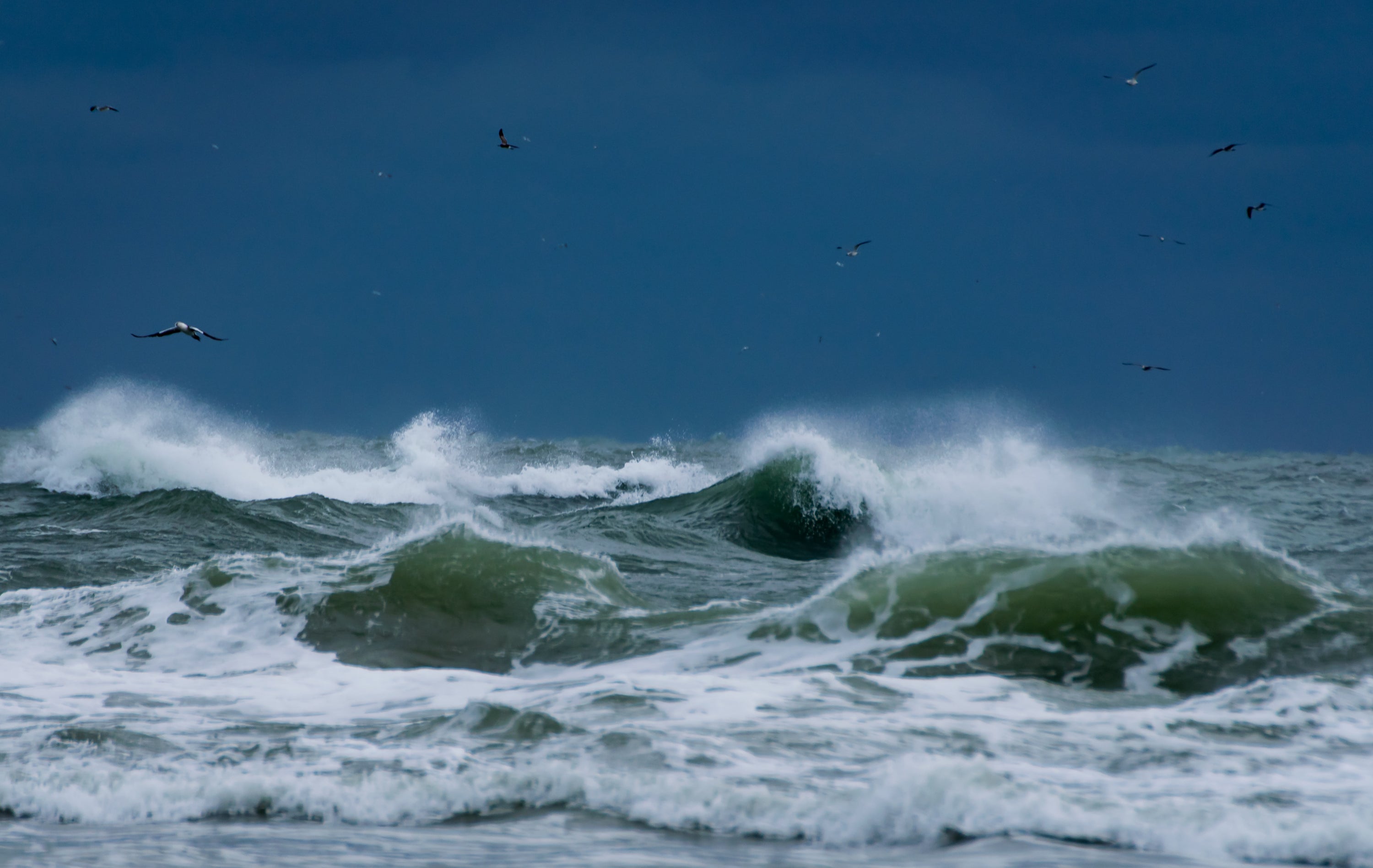 Navigating the Storm: Understanding Stress and Effective Management Strategies